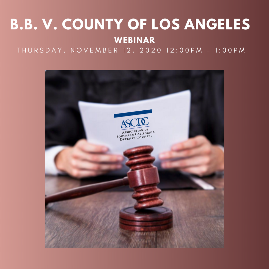 Webinar - B.B. v. County of Los Angeles - 2020